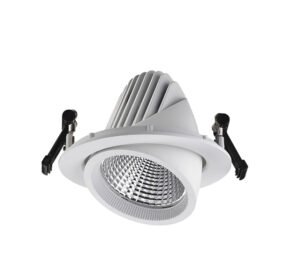 LED Down light Static White Φ 165