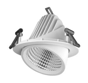 LED Down light Static White Φ 195