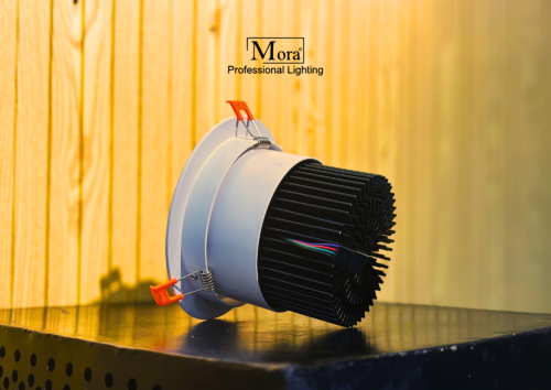 Downlight Dimmable DaLi High Performance Tampak Samping