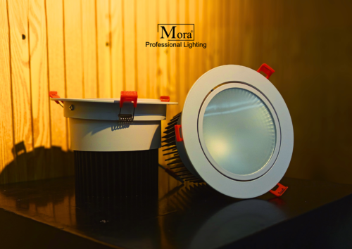 Downlight Dimmable DaLi High Performance Tampak Depan