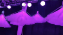 RGB Costum